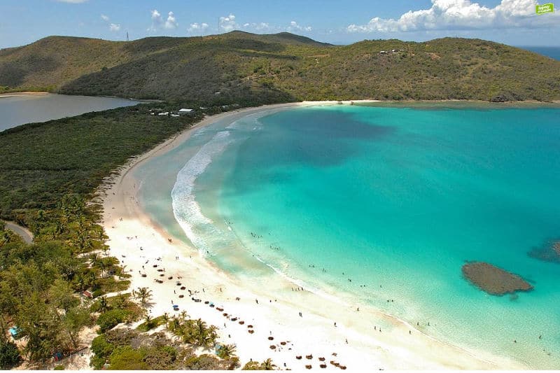 playas del caribe flamenco culebra puerto rico - Sabores Del Caribe - Productos Goya en Chile